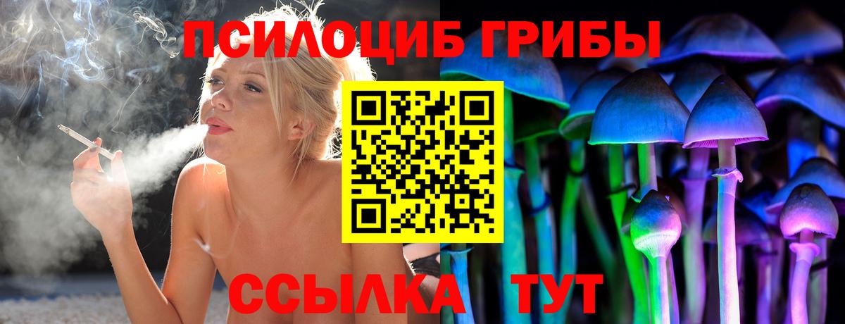 Печора  Псилоцибиновые грибы прущие грибы  Вход с VPN 